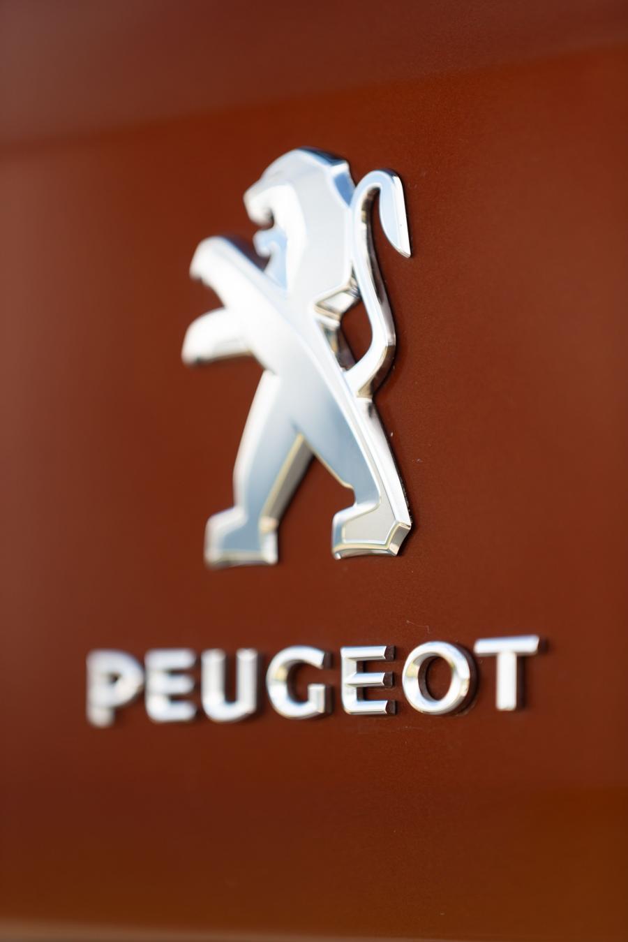 Логотип Peugeot Rifter GT Line 2018 года  (WW) (фото 38 из 43)